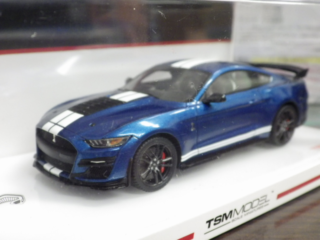 1/43 TSM MODEL ե ޥ GT500  ѥեޥ ֥롼