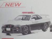 1/43 レイズ 日産 スカイライン GT-R (BNR34) 2000 埼玉県警察高速道路交通警察隊車両【803】