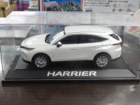 ah13041.JPG