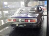 ah22875.JPG