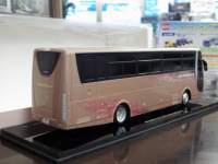 ah9855.JPG